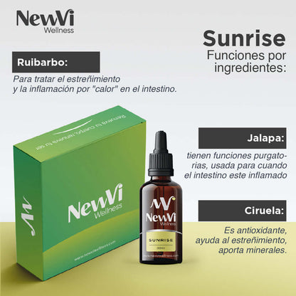 Newvi Wellness Kit Detox x 3 Kits (9 frascos) - Kaupi Co
